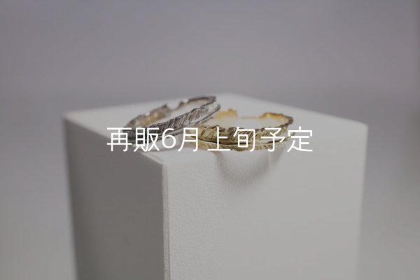 画像1: フェザーリング [ペア]  ■Pt900 3mm  ■K18YG 4mm  (1)