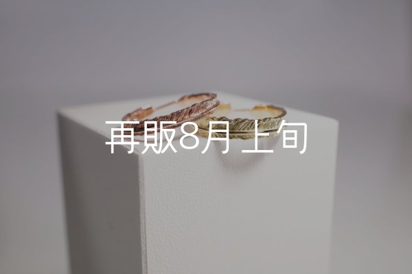 画像1: フェザーリング [ペア]  ■K10PG 3mm  ■K18YG 4mm  (1)