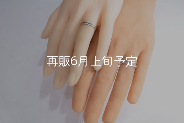 画像2: フェザーリング [ペア] ｜Pt900｜ ■3mm  ■4mm  (2)
