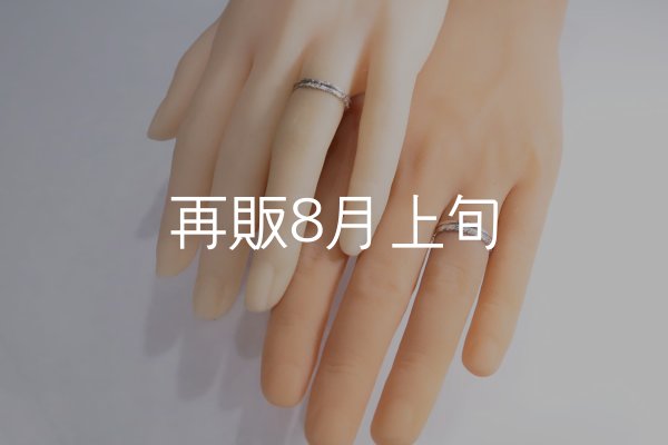画像2: フェザーリング [ペア] ｜Pt900｜ ■3mm  ■4mm  (2)