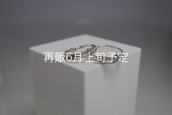 画像1: フェザーリング [ペア] ｜Pt900｜ ■3mm  ■4mm  (1)