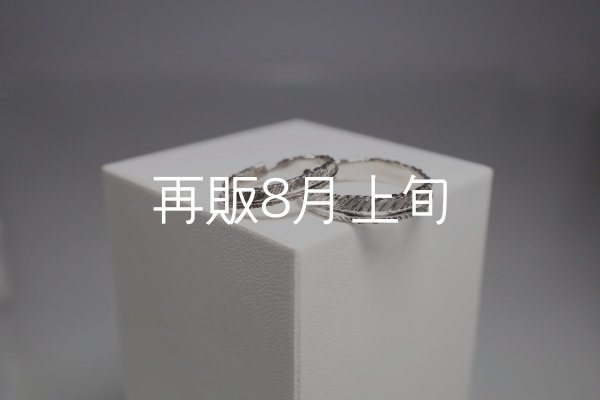 画像1: フェザーリング [ペア] ｜Pt900｜ ■3mm  ■4mm  (1)