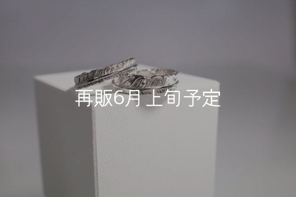 画像1: フェザーリング [ペア] ｜Pt900｜ ■4mm  ■6mm  (1)