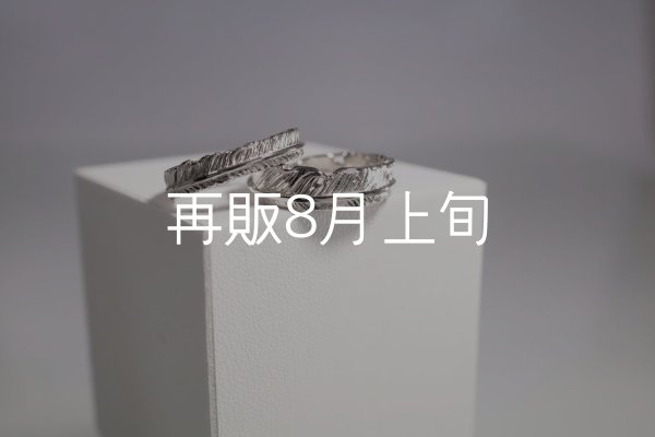 画像1: フェザーリング [ペア] ｜Pt900｜ ■4mm  ■6mm  (1)