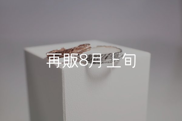 画像1: フェザーリング [ペア]  ■K10PG 3mm  ■SV925 4mm  (1)