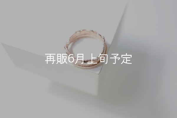 画像1: フェザーリング｜K10PG｜  (1)