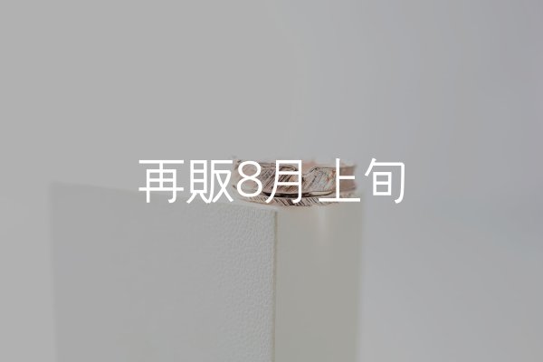 画像2: フェザーリング｜K10PG｜  (2)