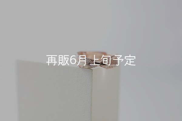 画像3: フェザーリング｜K10PG｜  (3)