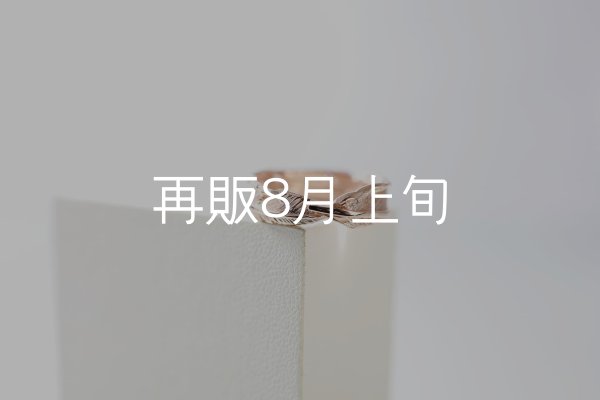 画像3: フェザーリング｜K10PG｜  (3)