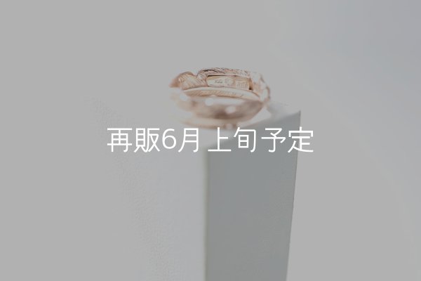 画像4: フェザーリング｜K10PG｜  (4)