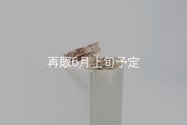 画像1: フェザーリング [ペア] ｜K10PG / K10YG｜  (1)