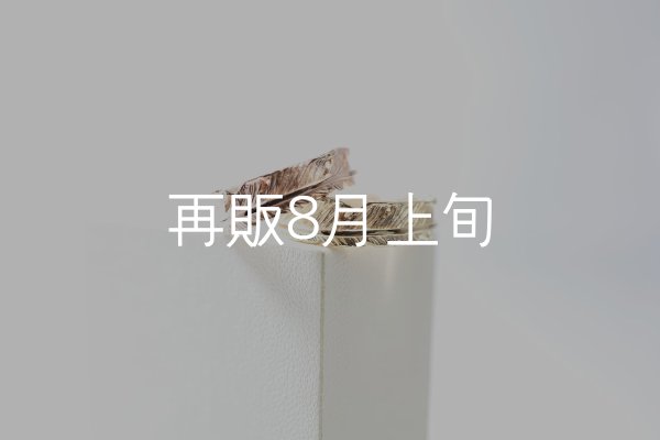 画像1: フェザーリング [ペア] ｜K10PG / K10YG｜  (1)