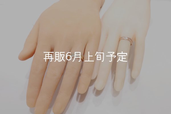 画像2: フェザーリング [ペア] ｜K10PG / K10YG｜  (2)