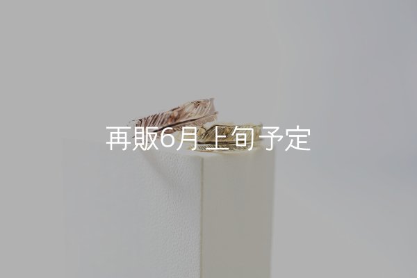 画像1: フェザーリング [ペア] ｜K10PG / K18YG｜  (1)