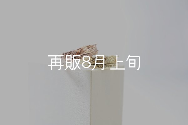 画像1: フェザーリング [ペア] ｜K10PG / K18YG｜  (1)
