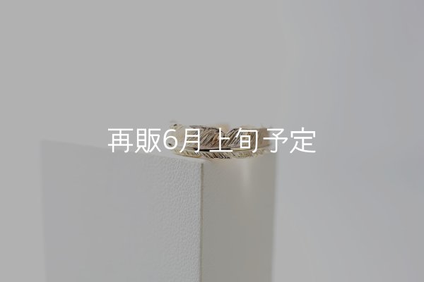 画像2: フェザーリング｜K10YG｜  (2)
