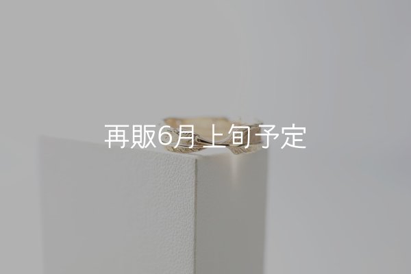 画像3: フェザーリング｜K10YG｜  (3)