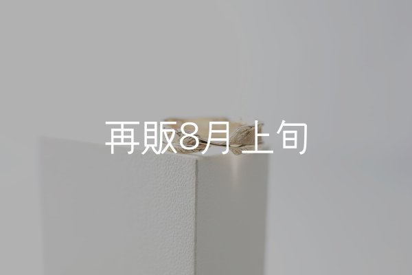 画像3: フェザーリング｜K10YG｜  (3)