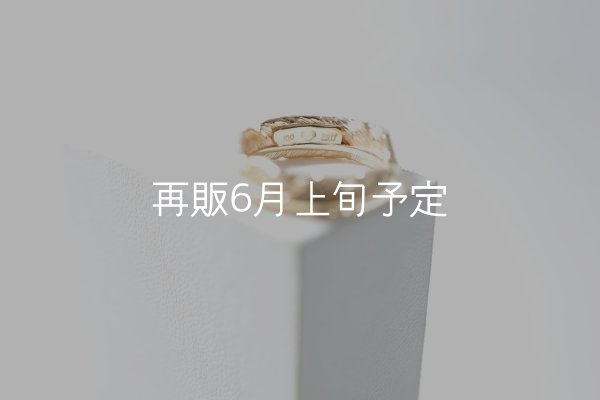 画像4: フェザーリング｜K10YG｜  (4)