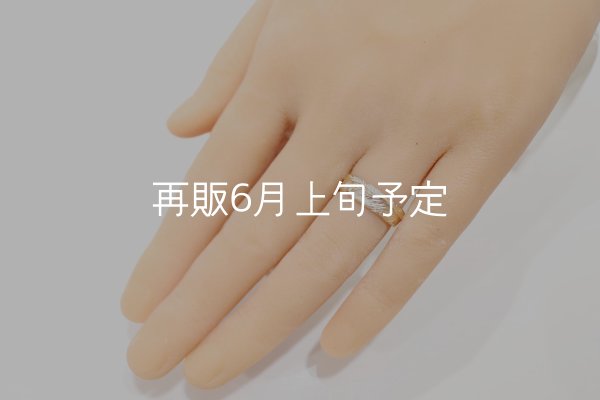 画像5: フェザーリング｜K10YG｜  (5)