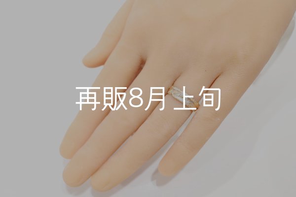 画像5: フェザーリング｜K10YG｜  (5)