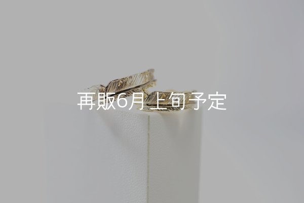 画像1: フェザーリング [ペア] ｜K10YG / K18YG｜  (1)