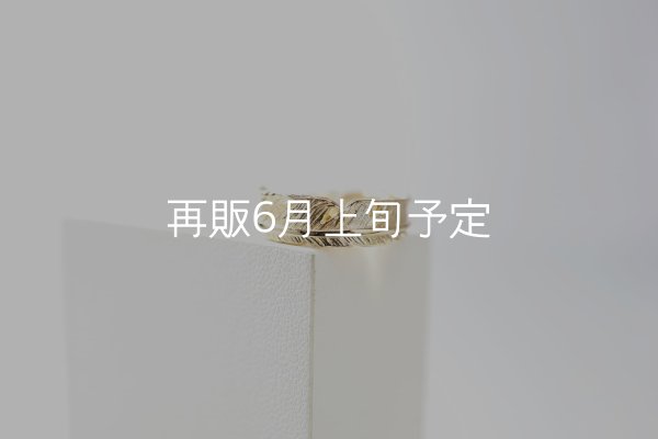 画像2: フェザーリング｜K18YG｜  (2)