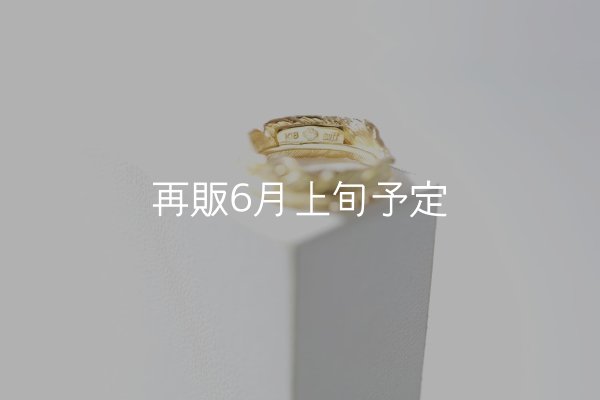 画像4: フェザーリング｜K18YG｜  (4)