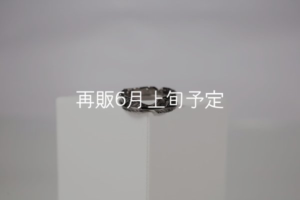 画像4: ブラックフェザーリング  (4)