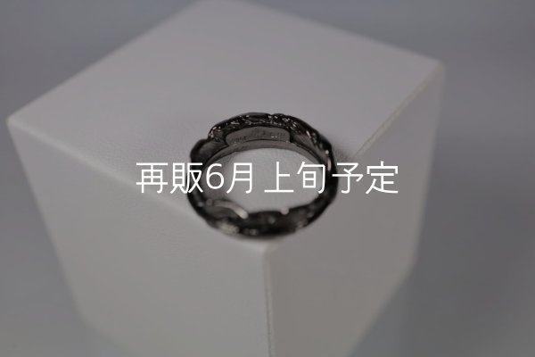 画像5: ブラックフェザーリング  (5)