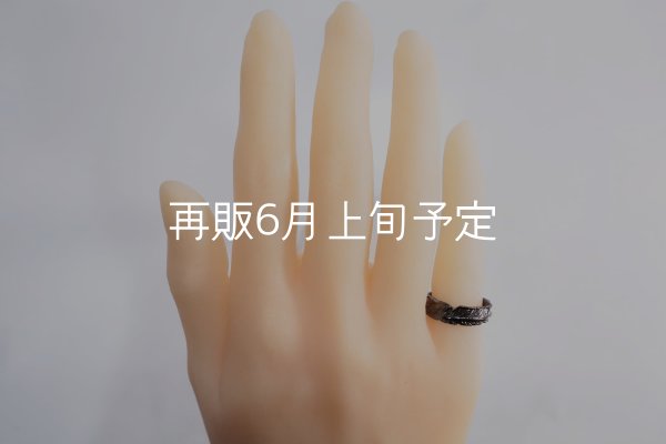 画像1: ブラックフェザーリング  (1)