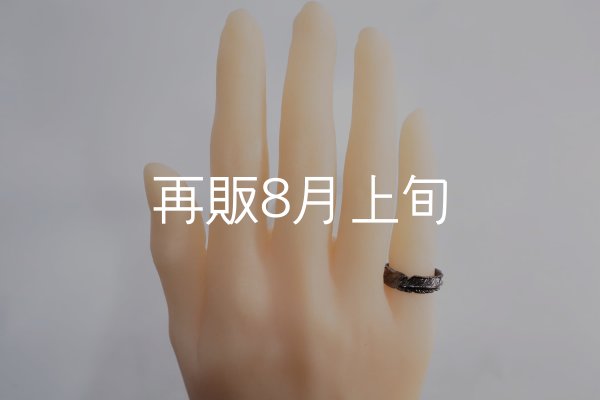 画像1: ブラックフェザーリング  (1)