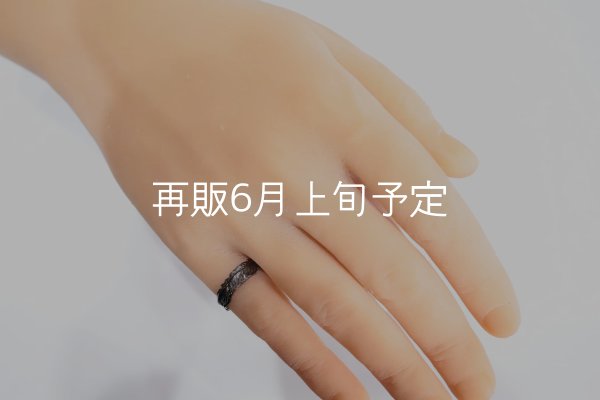画像6: ブラックフェザーリング  (6)