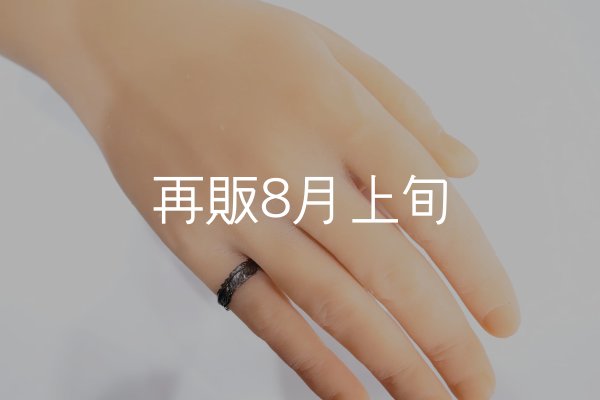 画像6: ブラックフェザーリング  (6)