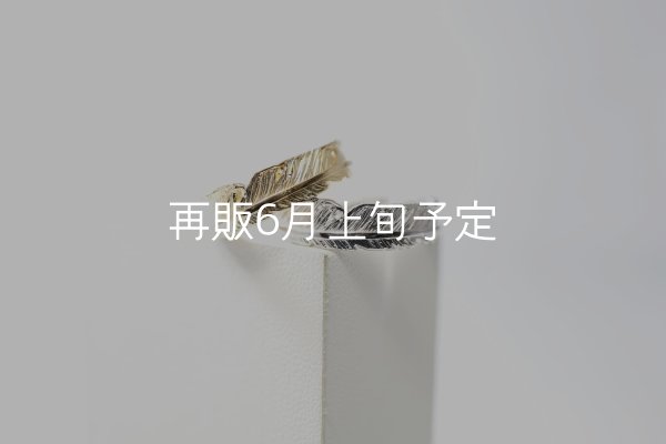 画像1: フェザーリング [ペア] ｜K18YG / Pt900｜  (1)