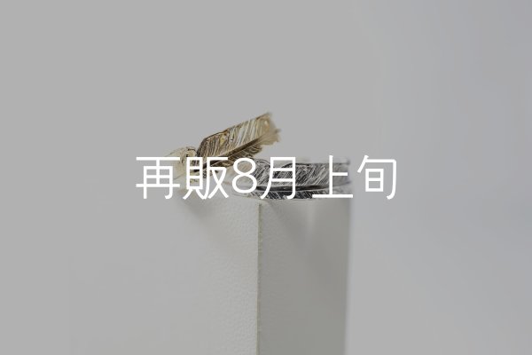 画像1: フェザーリング [ペア] ｜K18YG / Pt900｜  (1)