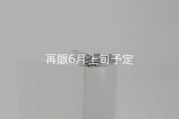 画像2: フェザーリング｜Pt900｜  (2)