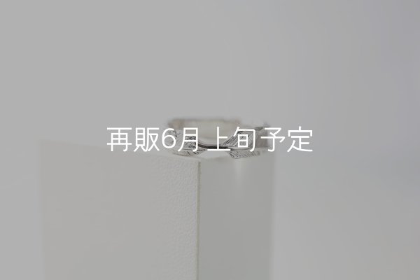 画像3: フェザーリング｜Pt900｜  (3)