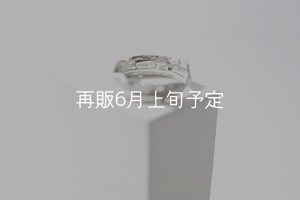画像4: フェザーリング｜Pt900｜  (4)
