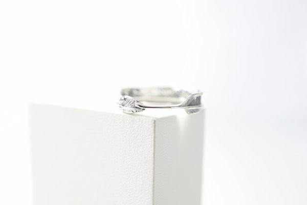 画像3: フェザーリング  (3)