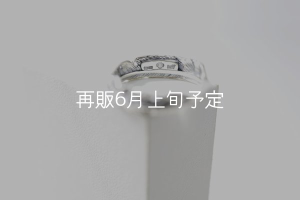 画像4: フェザーリング  (4)