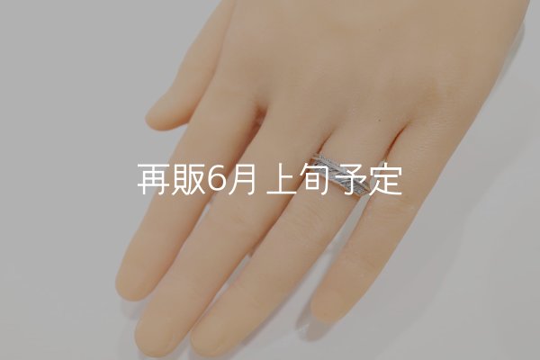 画像6: フェザーリング  (6)