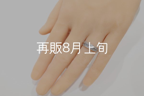 画像6: フェザーリング  (6)