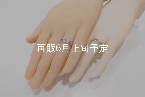 画像2: フェザーリング [ペア]  (2)