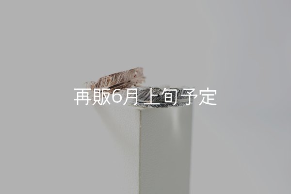 画像1: フェザーリング [ペア] ｜K10PG / SV925｜  (1)
