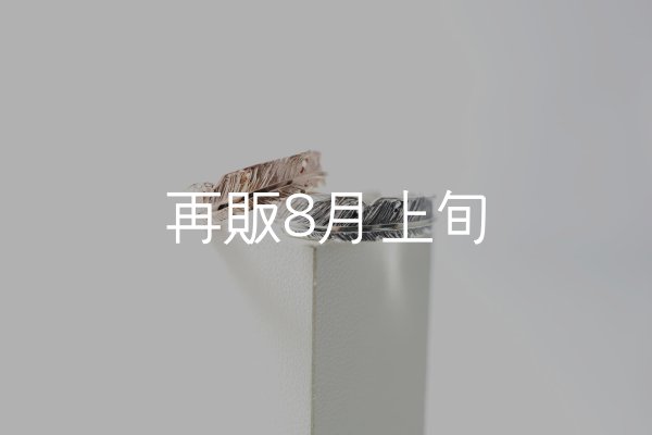 画像1: フェザーリング [ペア] ｜K10PG / SV925｜  (1)