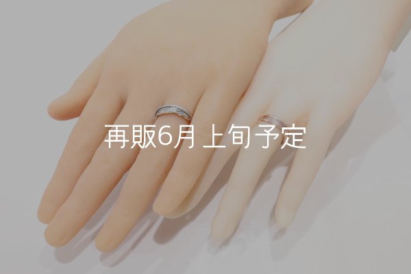 画像2: フェザーリング [ペア] ｜K10PG / SV925｜  (2)