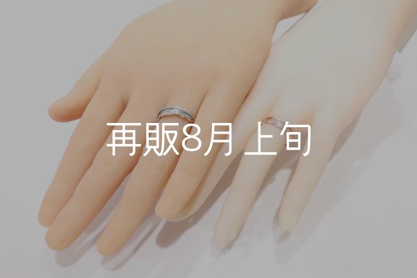 画像2: フェザーリング [ペア] ｜K10PG / SV925｜  (2)