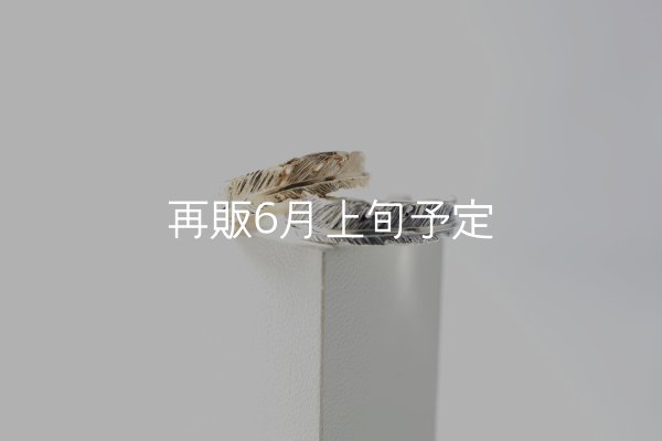 画像1: フェザーリング [ペア] ｜K10YG / SV925｜  (1)