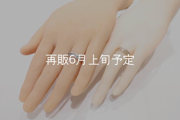 画像2: フェザーリング [ペア] ｜K10YG / SV925｜  (2)
